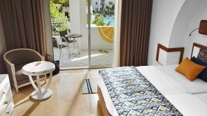 Double Room with Pool View DZX2