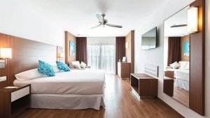 Large Accessible Room