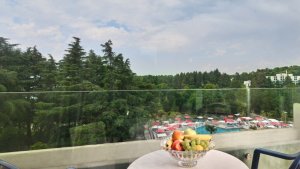 Jednolôžková izba clasic (balkón, park strana)