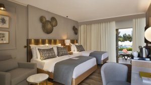Izba Deluxe swim-up