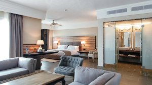 Jr. Suite