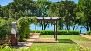 Luxury Mare Pitch