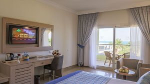 Superior Family Room