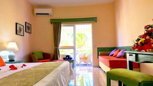 Garden View Room