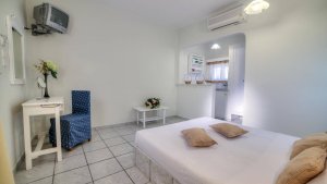 Deluxe Double Room Garden View