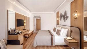 Deluxe Large Room