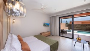 Superior Double Room With Individual Pool