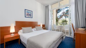 Standard Double Room with Balcony and Park View