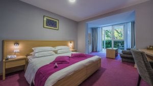 Deluxe izba 2+2 (resort, balkón, park strana) 4*