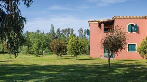 Family Apartment Private Balcony or Veranda & Gardens