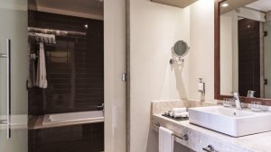 Deluxe Suite 2+2 premium