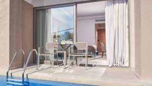 SUPERIOR ROOM SWIM UP INLAND VIEW