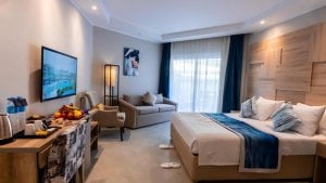 Deluxe Swim UP Room +16