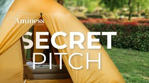 Secret Pitch