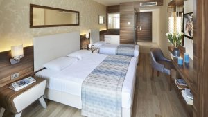 Modern Room