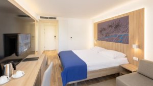 Dvojlôžková izba comfort s možnosťou prístelky, park strana (hotel)
