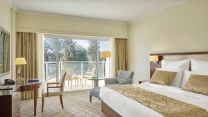 Deluxe Museum View Room