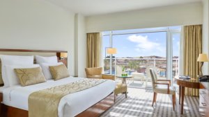 Deluxe Pool View Room