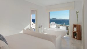 Deluxe Suite with Private Pool