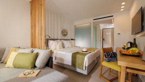 Superior Comfort Room Garden View
