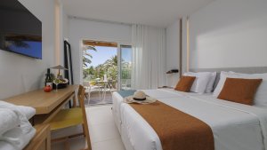 Superior Double Room Garden View