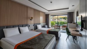 Deluxe Swim-Up Room