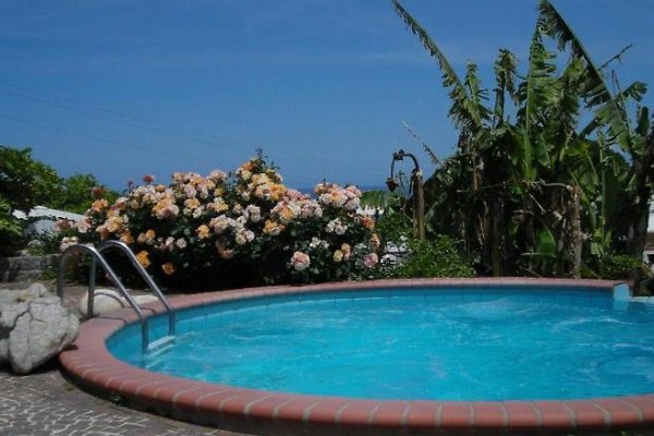 Hotel Gallo Nero