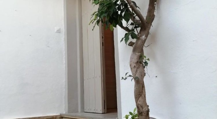 Villa Palma