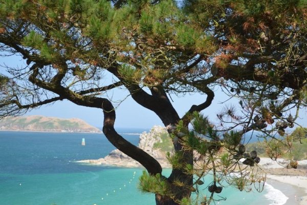 The Originals Les Costans