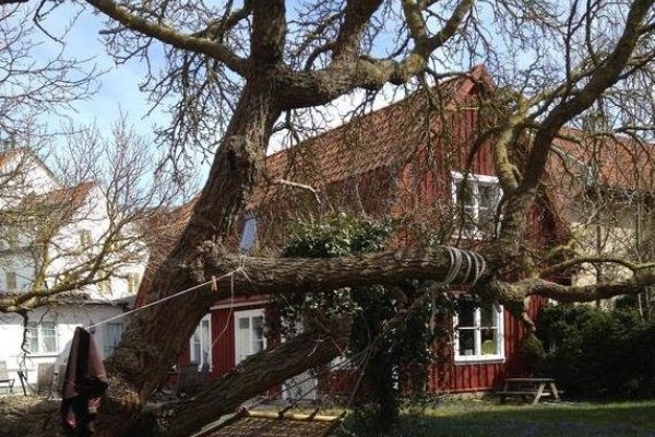 Mullbärsgårdens B & B