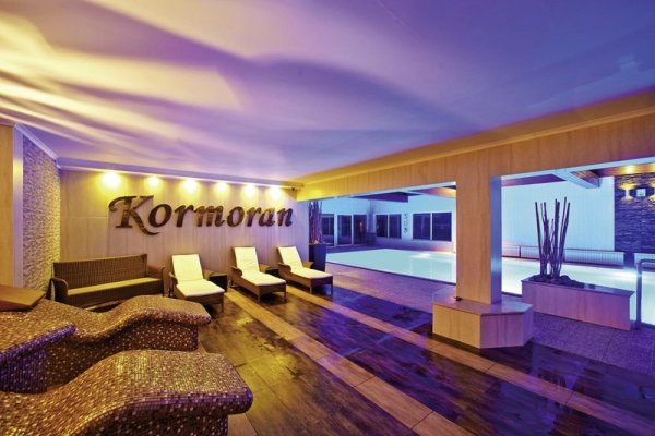 Kormoran