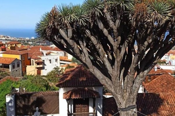 Hostel Tenerife