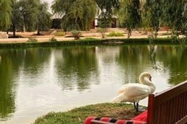 Telal Resort Al Ain