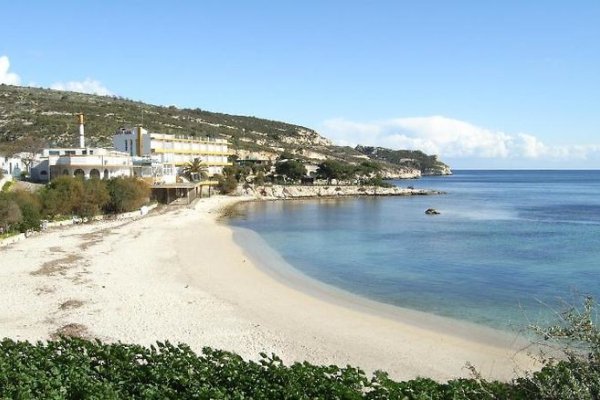 Calamosca