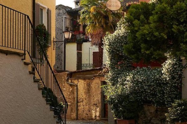 Olive Boutique Hotel