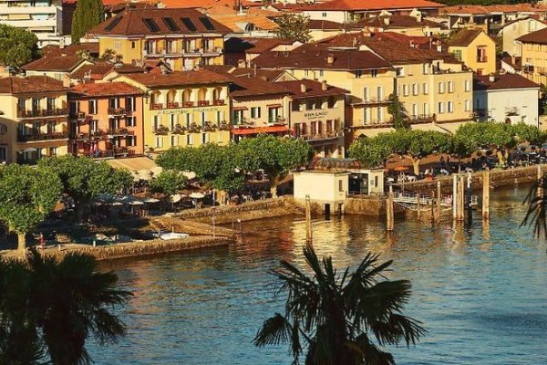 Olive Boutique Hotel