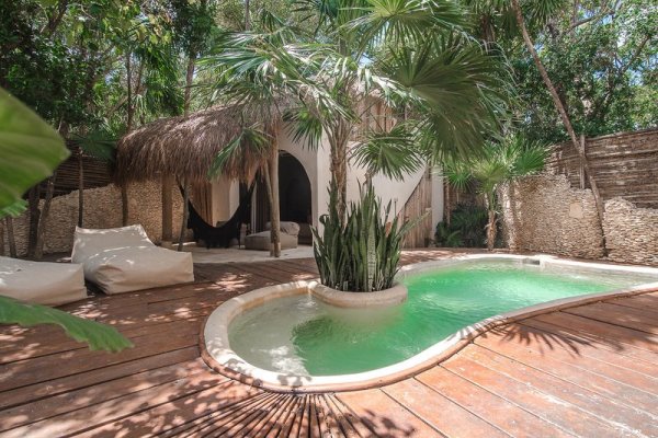 Papaya Playa Project