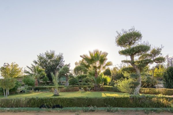 Hotel Rural El Cortijo