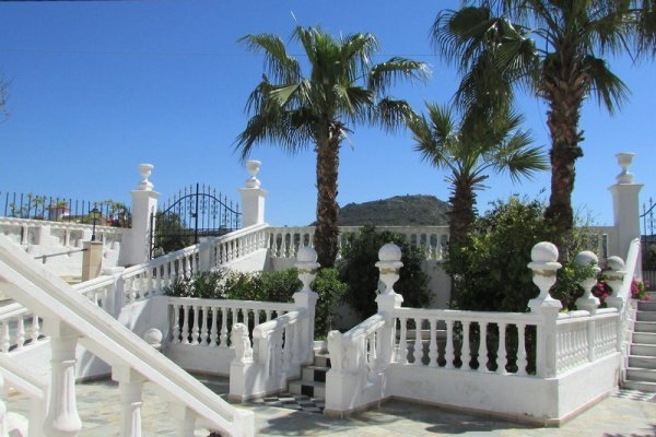 Castellino Studios