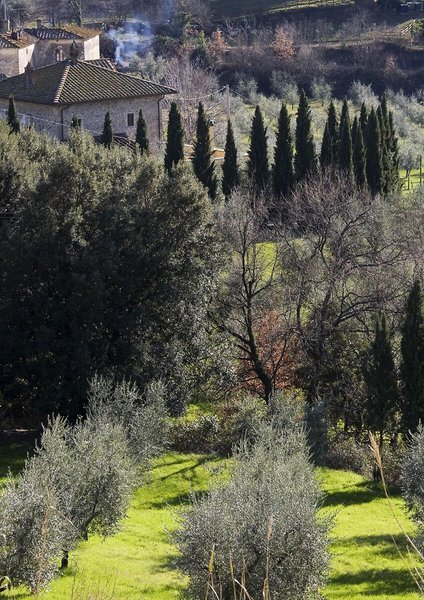 Villa Giorgia Albergo In Collin