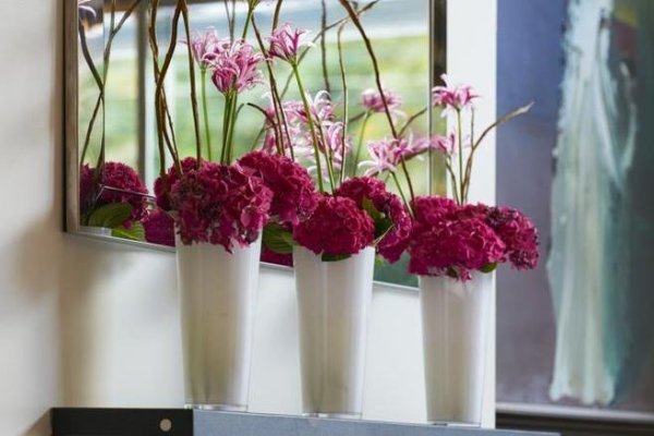 The Fitzwilliam Hotel