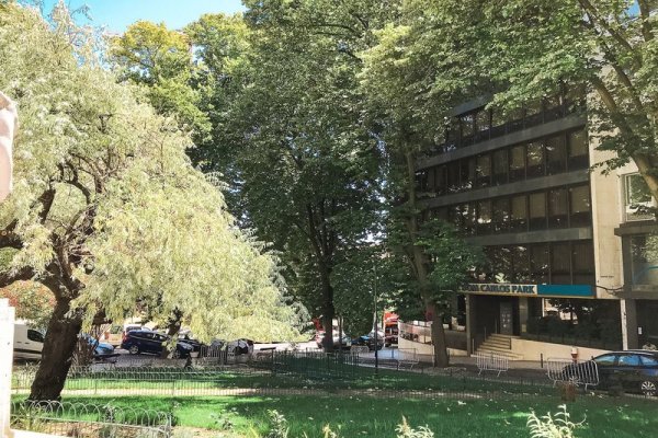Dom Carlos Park