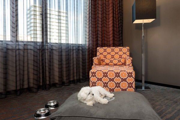 Sheraton Essen