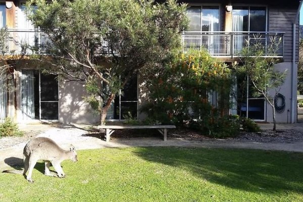 Halls Gap  Grampians Eco YHA