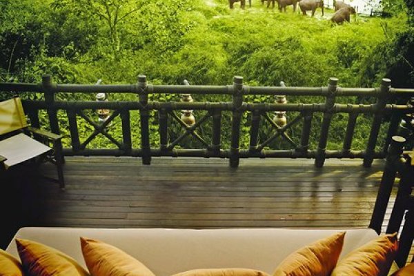 Four Seasons Tented Camp Golden Triangle