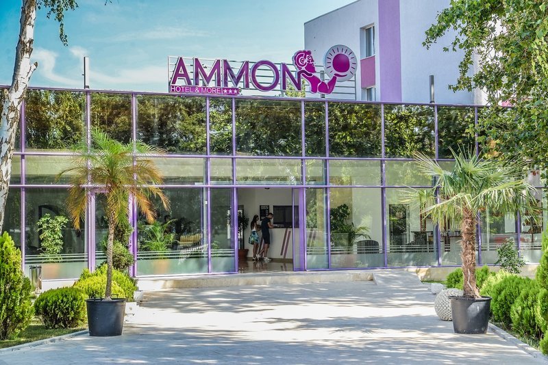 Ammon