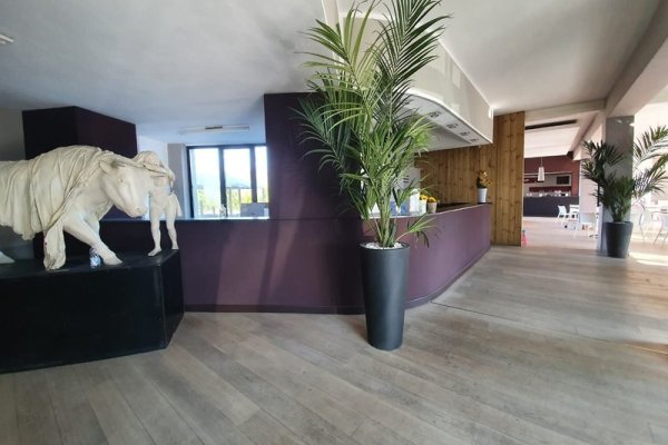 Hotel Cavalieri Pinerolo