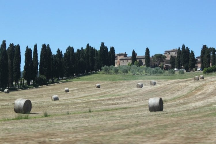 Monti