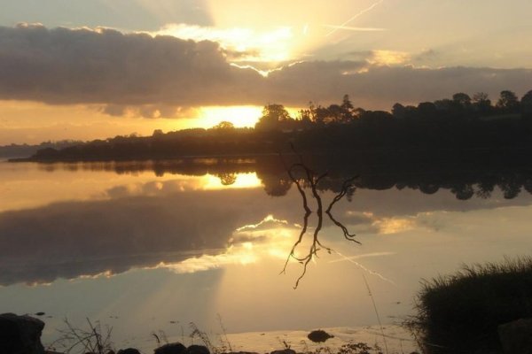 Ferrycarrig Hotel