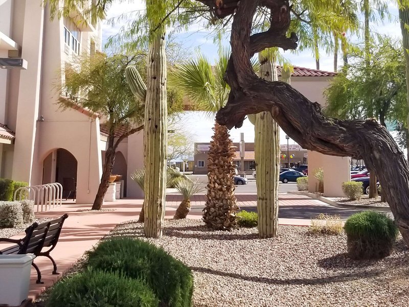 Comfort Inn & Suites Tempe Phoenix Sky Harbour